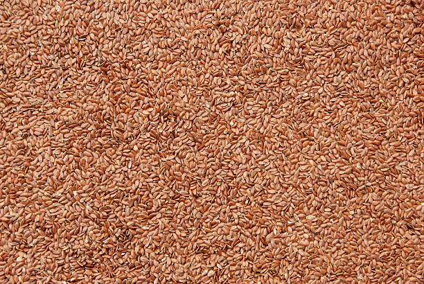 flax seed stock photo