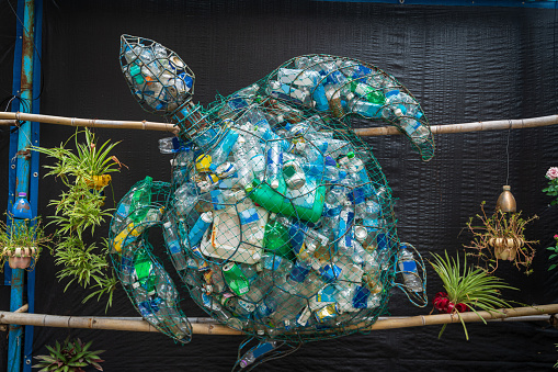 A turtle made from waste empty plastic bottle