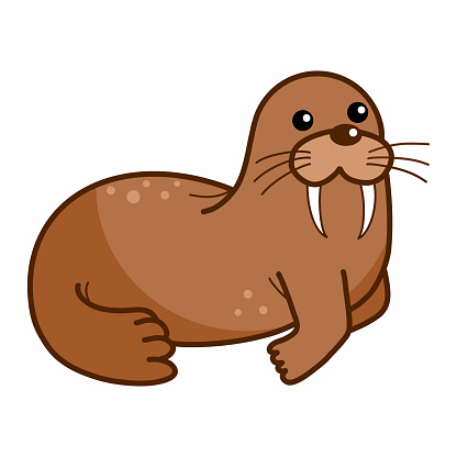 Walrus on a white background. Animals of Arctic and Antarctica. Vector doodle illustration for baby. Sticker.