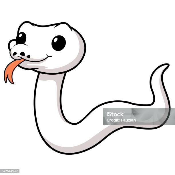 Cute White Leucistic Ball Python Snake Cartoon Stock Illustration ...
