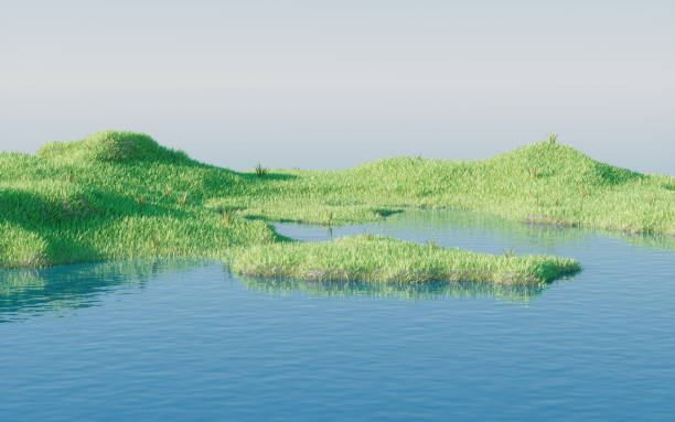 Green grassland with lakes, 3d rendering. Digital drawing.