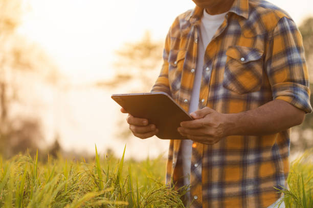 istock Farmers use tablet computers to check their fields. They are used for planning, care and post-planting analysis. Agricultural technology concepts. 1475419264