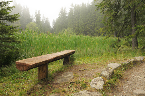 Simple wooden bench in a park on a misty day