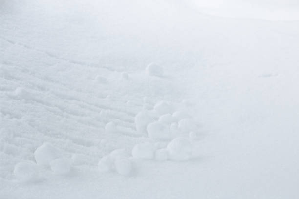 Balls of snow leave tracks on white snow background