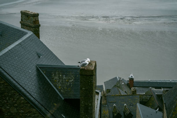 istock Mont-Saint Michel on A Rainy Day 1475427579