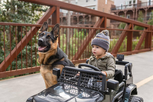 istock Toddler boy playing outside with his pet dog 1475436150