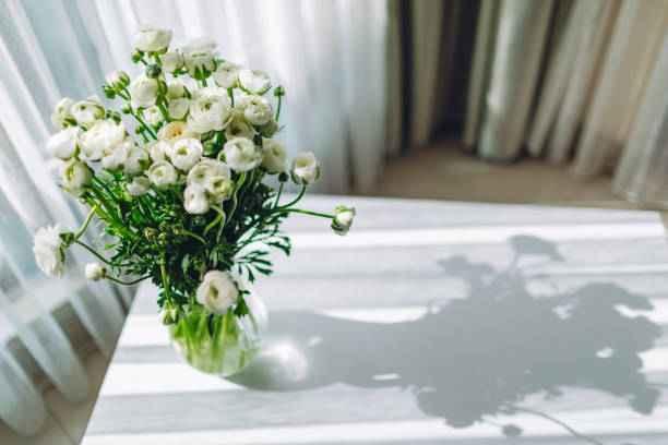 Ranunculus in vase at the table with sunlight from the window