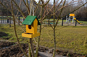 a brightly colored bird feeder on the edge of the playground is used to observe and learn about bird species by children in kindergarten