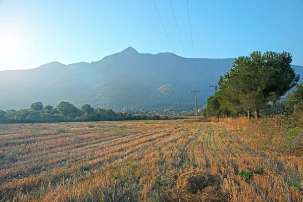 Peaceful wilderness forest and mountains