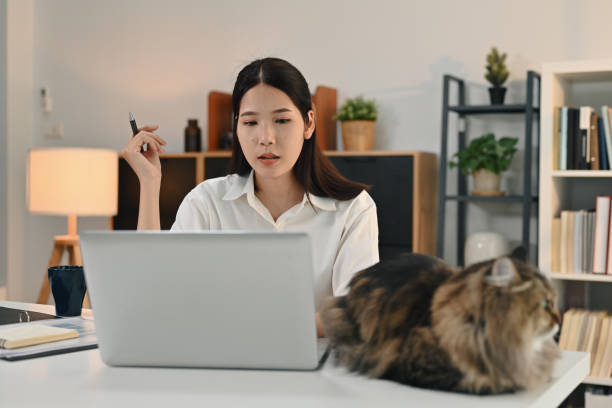 istock Young woman accounting analyst using laptop, analyzing sales statistics management at home office. 1475453033