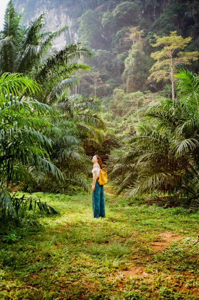 femme marchant sur le chemin à travers la jungle - phuket province thailand tourist asia photos et images de collection