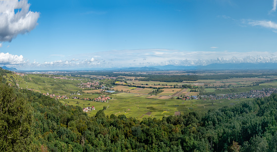 scenic view from notre dame du Schauenberg to the Alsace region and village Pfaffenheim, France.