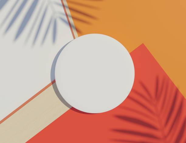 istock 3d render top view of white blank cylinder frame for mock up and display products with shadows of palm leaves and white blue background. 1475458345