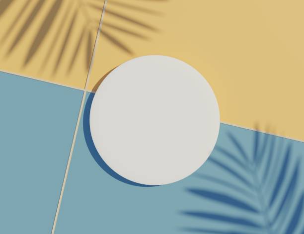 istock 3d render top view of white blank cylinder frame for mock up and display products with shadows of palm leaves and white blue background. 1475459172