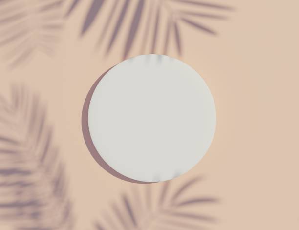 istock 3d render top view of white blank cylinder frame for mock up and display products with shadows of palm leaves and white blue background. 1475459190