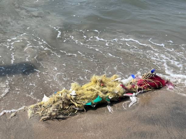 istock Pollution of the sea 1475459577
