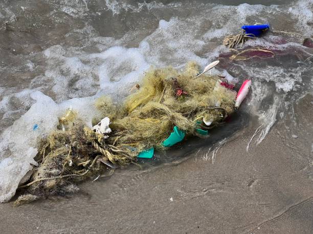 istock Pollution of the sea 1475459624