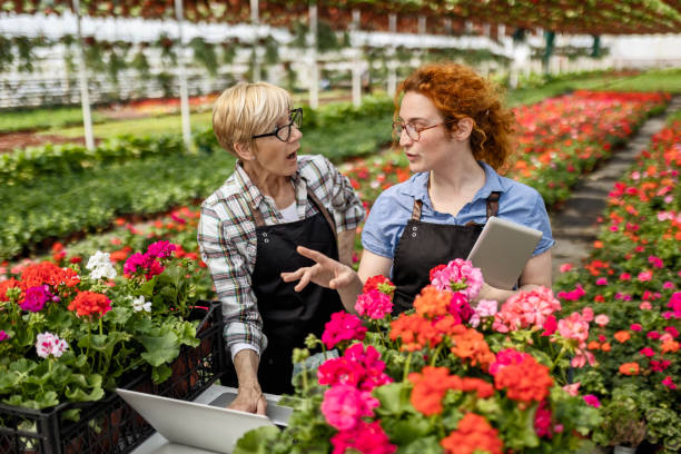 istock Working at greenhouse garden 1475463711