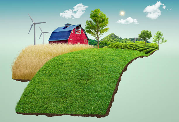 istock 3d illustration of field path. online farming advertisement. creative farming concept. wheat field in the glare of light of the sun. 1475465592