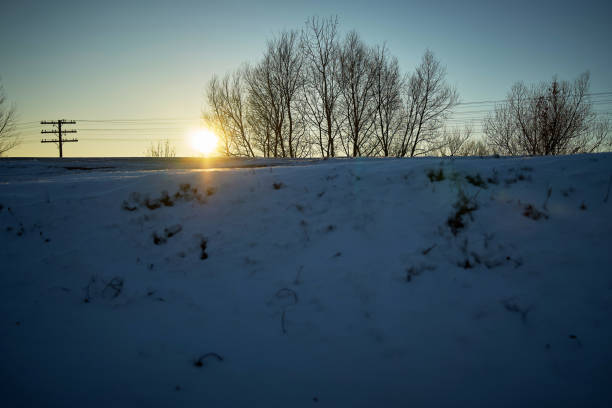 Winter snowy landscape during sunset, and blue sky in the background in the countryside with trees and bushes