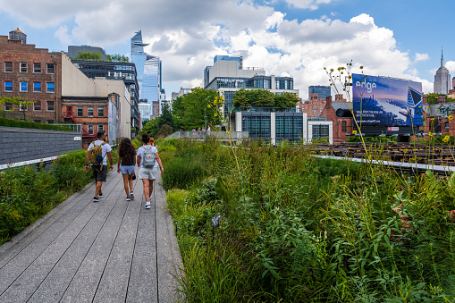 New York, USA, August 2022 - People walking the High Line promenade in a summer day