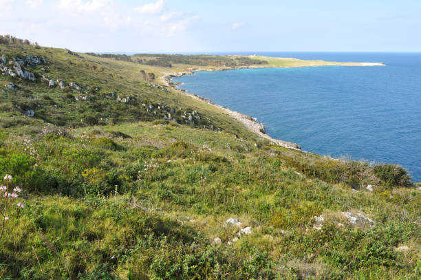 istock Beautiful Salento Coastline during Spring. Southern Italy 1475475421