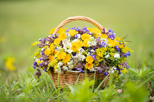 Bright and colorful spring flower arrangement in a woven basket