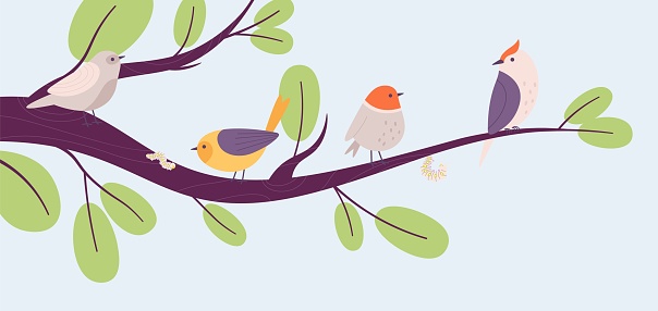 Flat birds on tree branch, bird and worm. Spring blooming, cute cartoon insects. Decorative nature banner, vector seasonal graphic. Illustration of bird on branch of tree