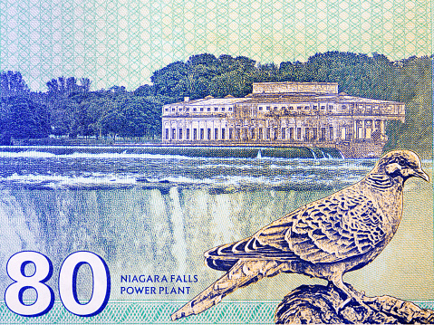 Niagara falls, power plant and bird from money