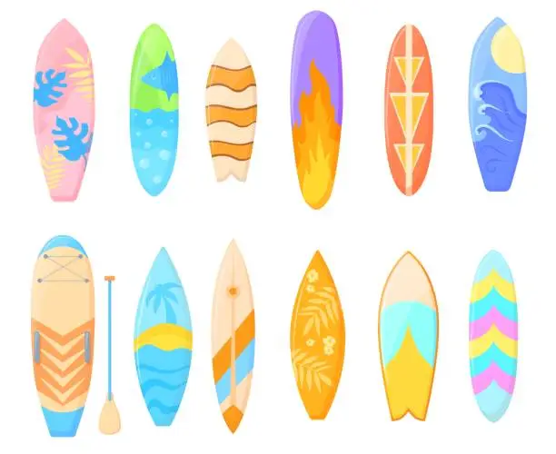 Vector illustration of Bodyboards. Cartoon cool surfboards for bodyboarding, surf gear hawaii surfing, short long flower fish boards paddle summer tropical beach sea wave sport, neat vector illustration