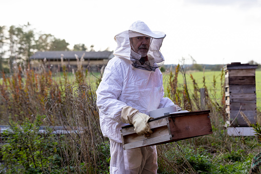 A three-quarter length portrait of a senior male farmer wearing protective workwear holding a crate full of honey bees looking at the camera. The beehive is to the right of the frame