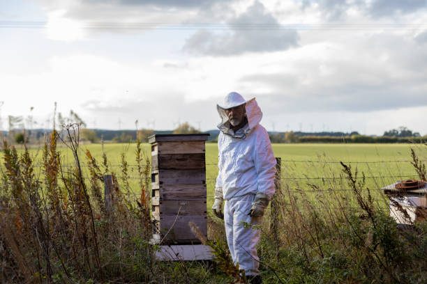 istock Male Farmer Standing Next to Bee Hive 1475478831