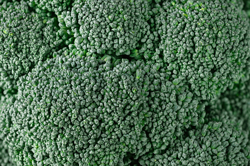 Fresh vegetable broccoli closeup. Macro broccoli head.
