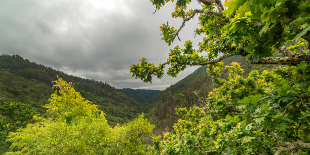 istock Fragas do Eume Natural Park, Pontedeume, Spain 1475490596