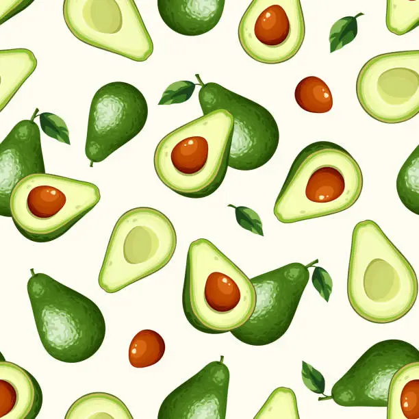 Vector illustration of Seamless pattern with avocado fruit on white. Vector illustration