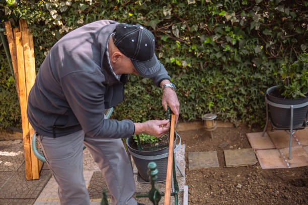 istock Senior making a flower holder and a table in one 1475498486