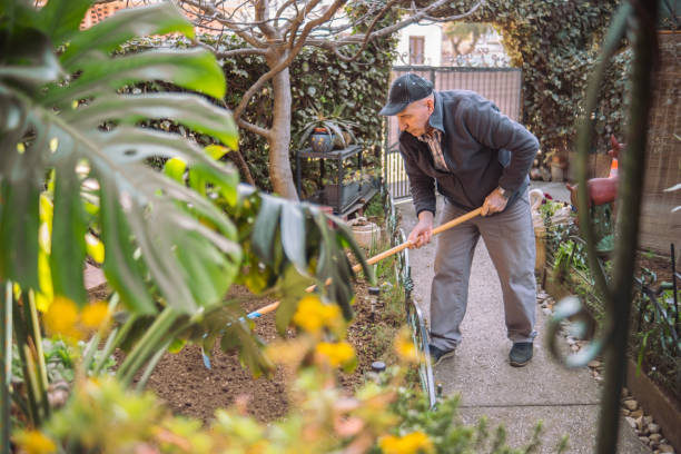 istock Senior maintaining the yard with a rake 1475499626