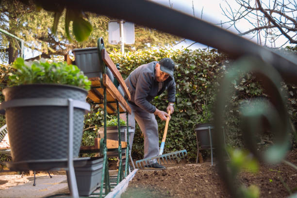 istock Senior maintaining the yard with a rake 1475499628