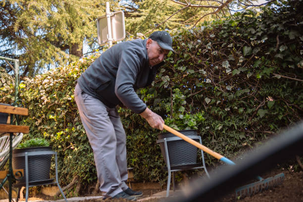 istock Scraping out fallen leaves from the soil 1475499658
