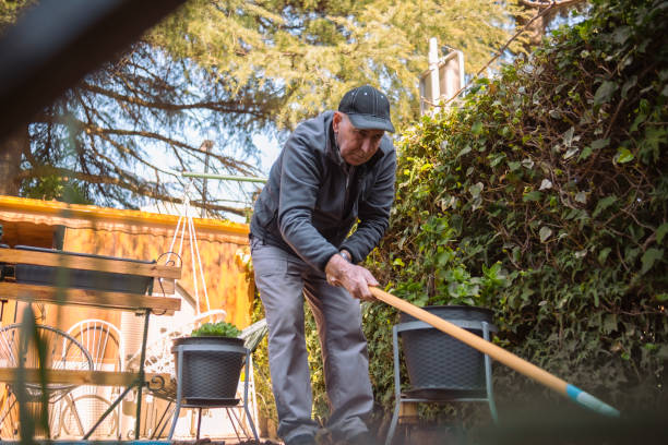 istock Scraping out fallen leaves from the soil 1475499680
