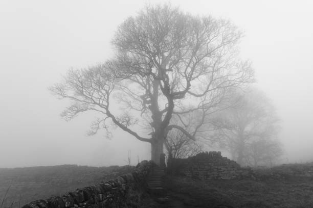 istock A dark foggy morning below Baslow Edge. 1475506522