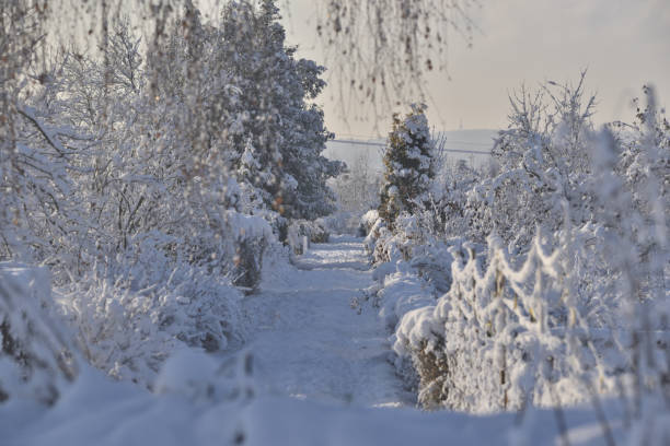 istock snowy dirt road 1475519572