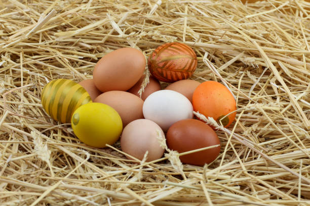 Chicken eggs lie in a decorative nest. close-up. soft focus.