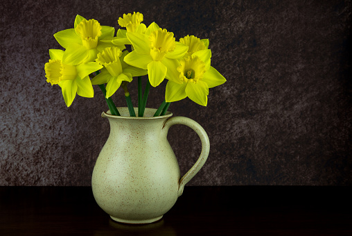 Earthenware wine jug with bunch of daffodils on a polished wooden shelf