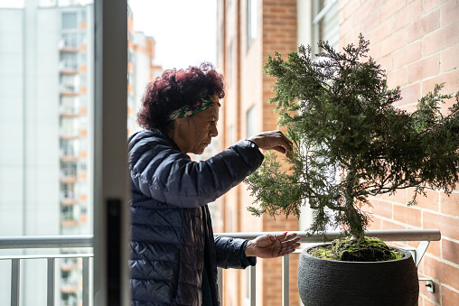 Senior woman gardening on the balcony at home