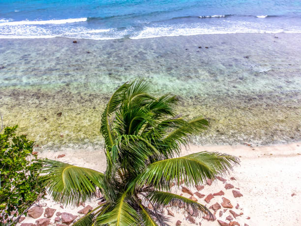 istock Aerial view of Anse Fourmis beach on a sunny day 1475528189