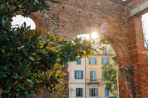 Sunbeam peeking out from behind a brick arch and a tree. High quality photo