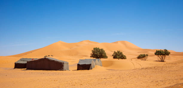 istock Sand dunes in the Sahara desert, Merzouga, Morocco 1475532489