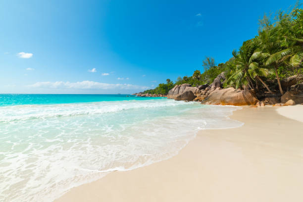 istock Granite rocks, palm trees and turquoise water in Anse Lazio 1475535069