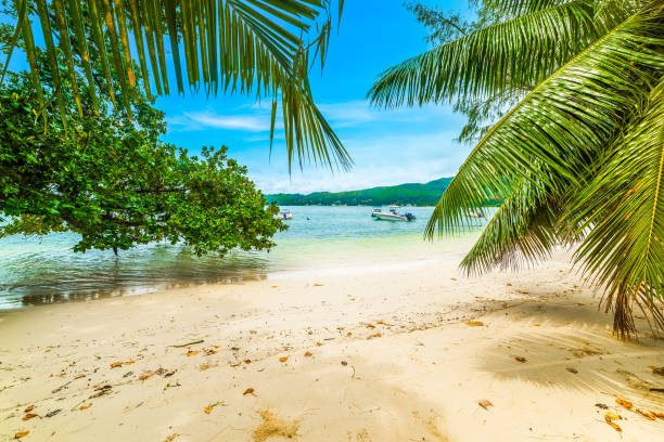 istock Boats by the shore in Anse Madge 1475545410